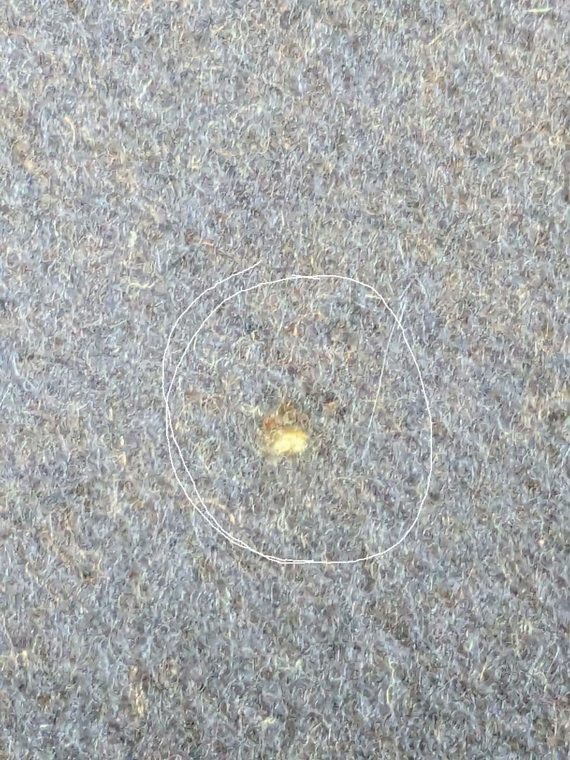 【haruatuking】ルイ・ヴィトン「エシャルプカーディフ」モノグラ