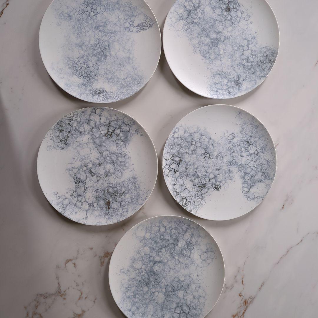 HIBINO エキュー厶28cm プレート　5枚セット