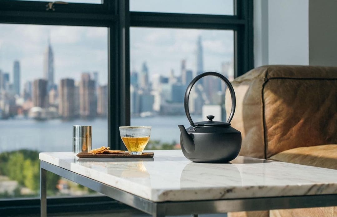 新品未開封　BALMUDA ムーンケトル バルミューダ KPT02JP-BK