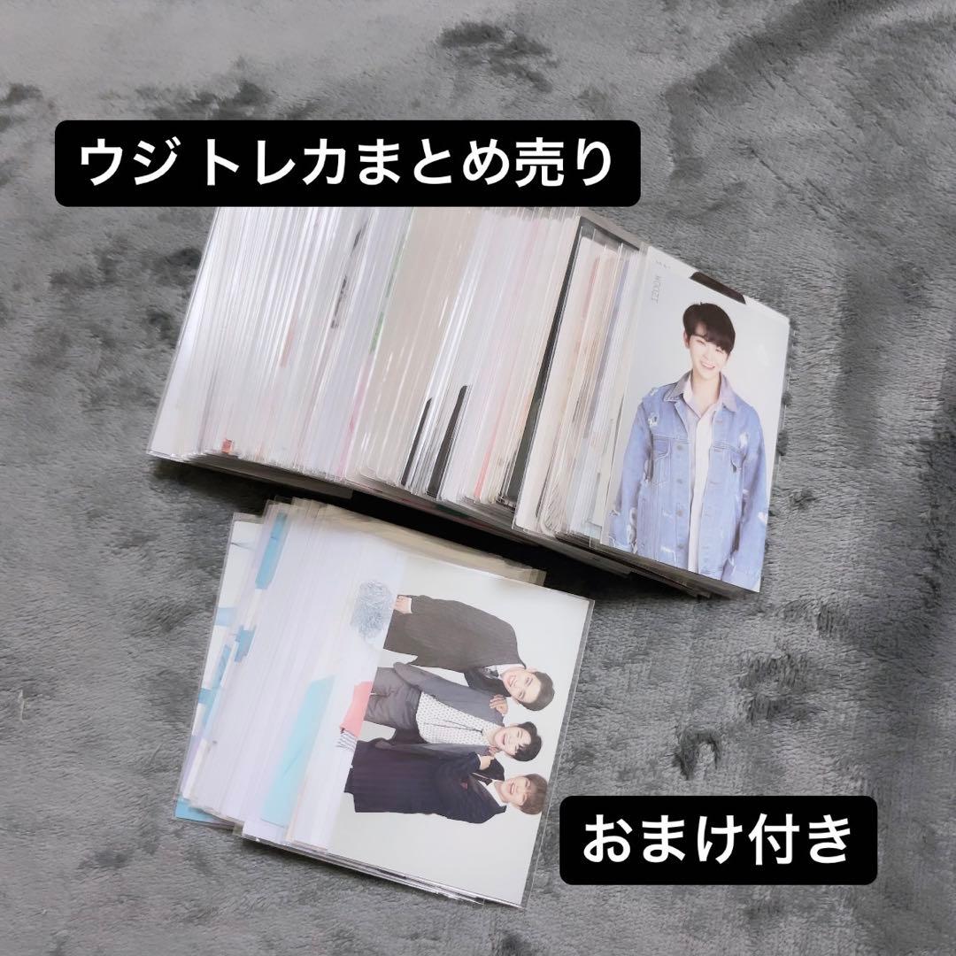 ウジ まとめ売り