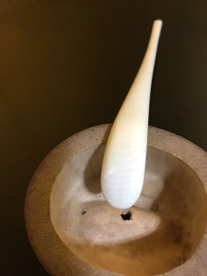 茶道具 高級茶杓
