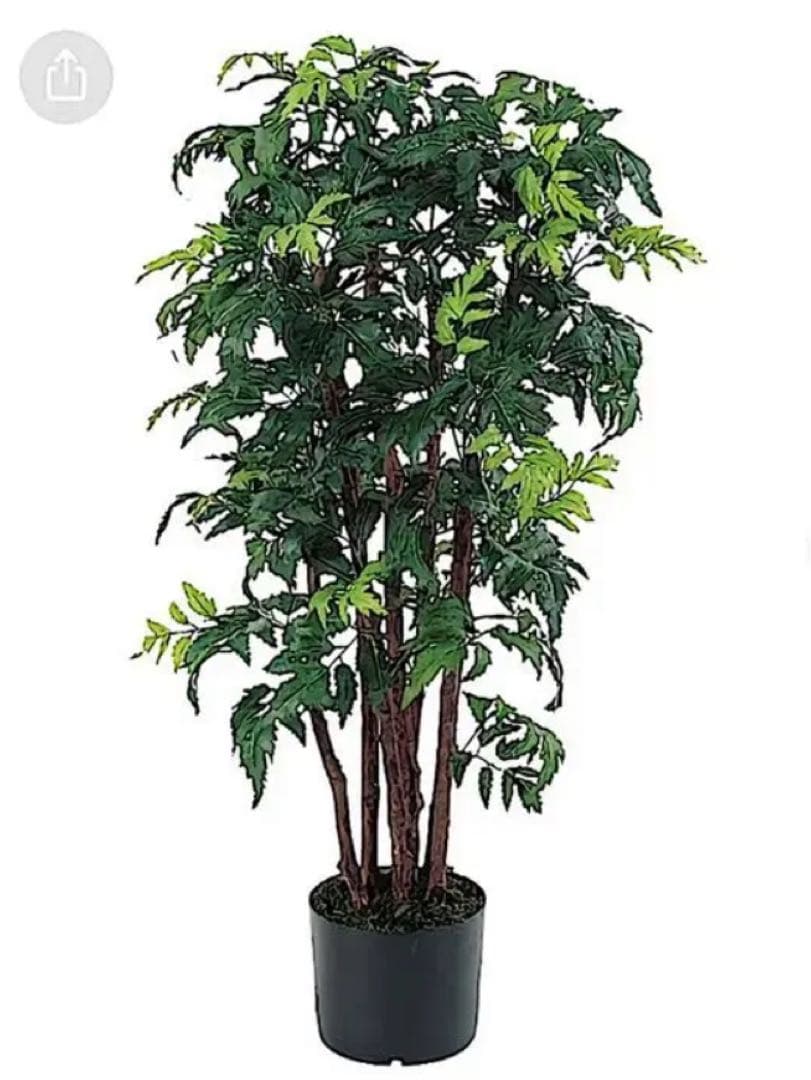 光触媒　人工観葉植物　ウォールグリーン　フェイクグリーン　フラワー　アラレヤ95