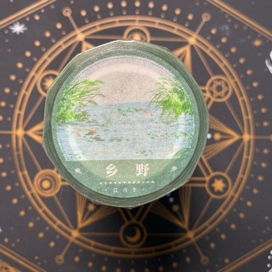 【9128】海外　マステ　5m巻　PETマスキングテープ池　金魚　芝生　自然景色