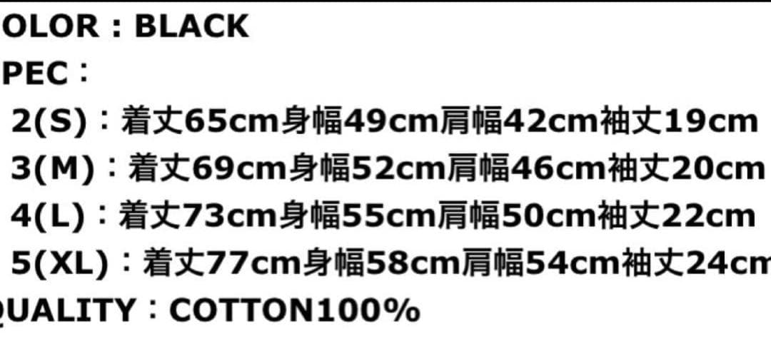 The Birthday×RUDE GALLERYチバユウスケTシャツ XL新品