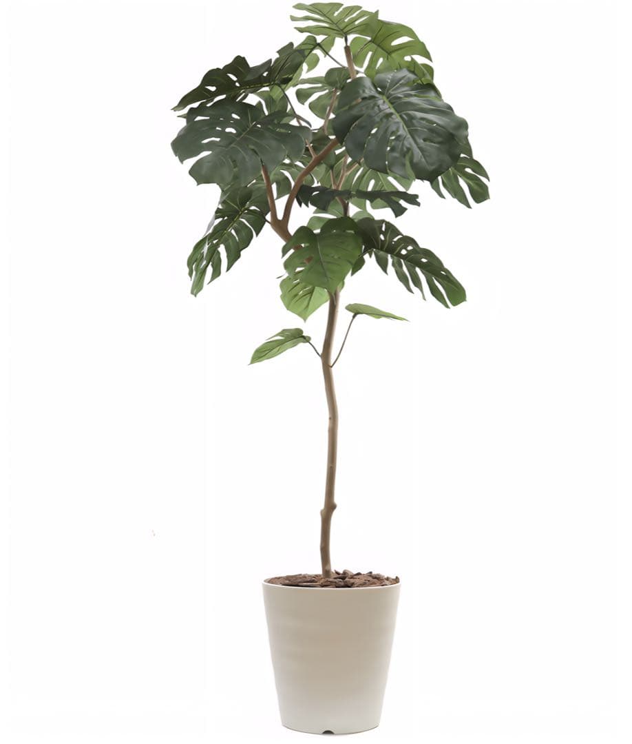 光触媒　人工観葉植物　ウォールグリーン　フェイクグリーン　モンステラ一点175