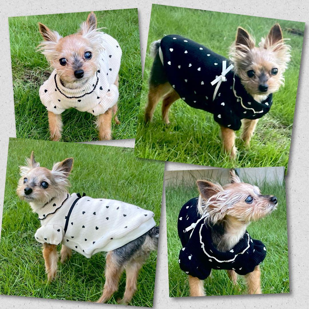 ハンドメイド犬服　【再販】ふんわりタンクトップ　リブニット★お袖変更可能