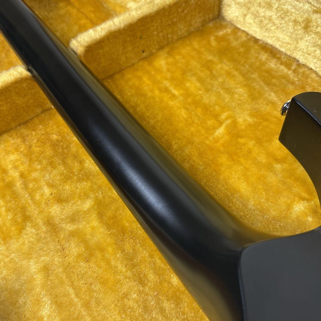 【激レア】　アイバニーズ　DN-400