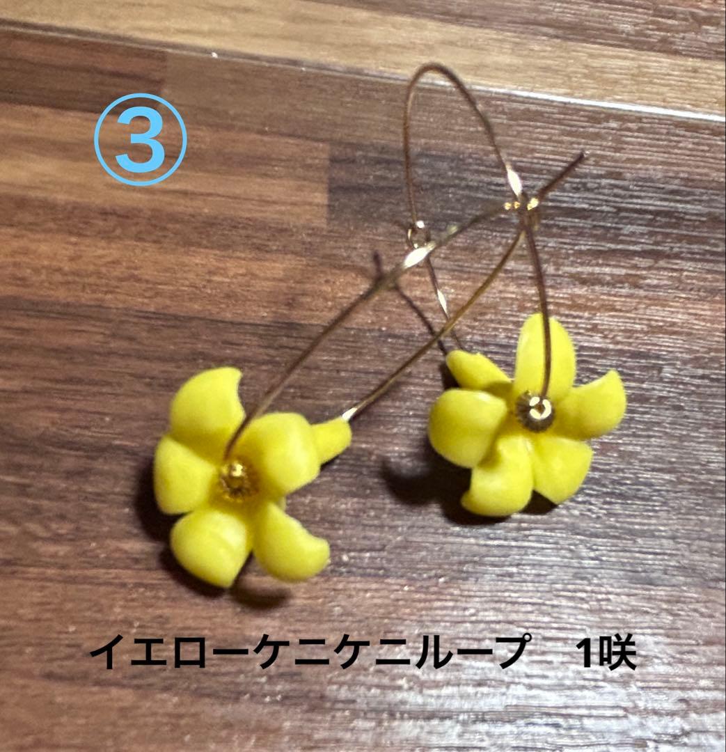 【ピカケページ】Hawaii・プアケニケニピアス・4セット