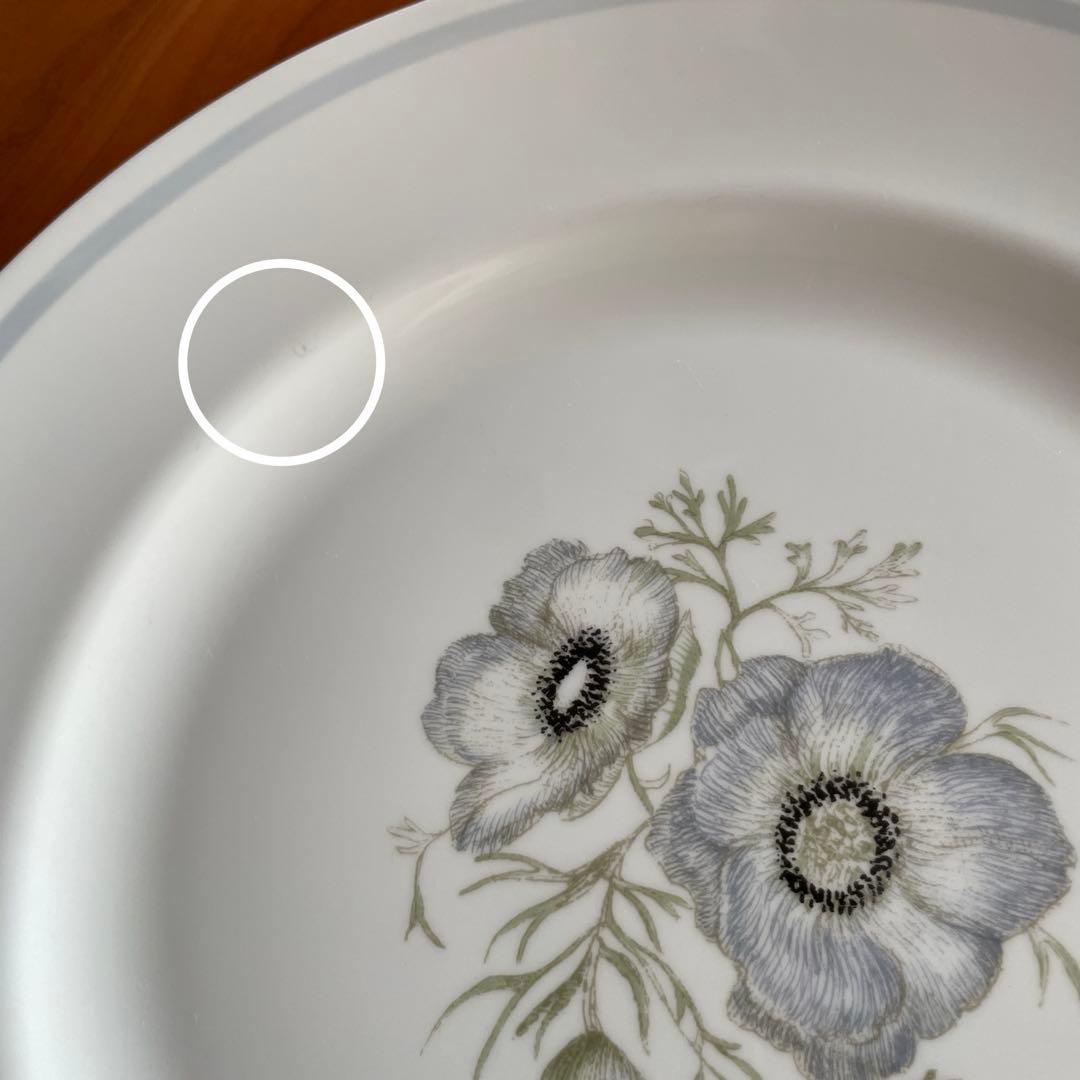 廃盤  グレンミスト 27cm 6枚セット 即購入ok