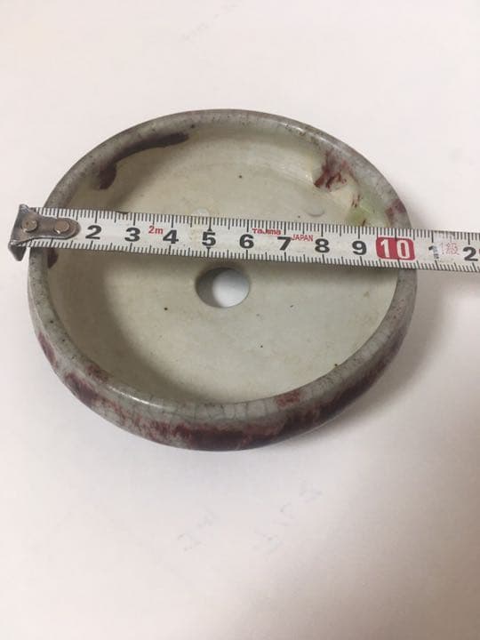 「菊池春陽」盆栽鉢