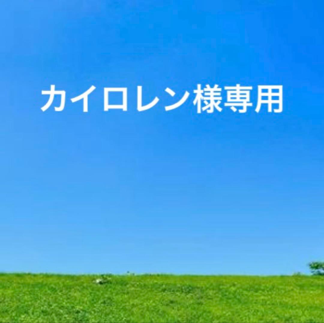 未使用　PaulSmithポールスミス　レザー二つ折り財布　ダークパープル