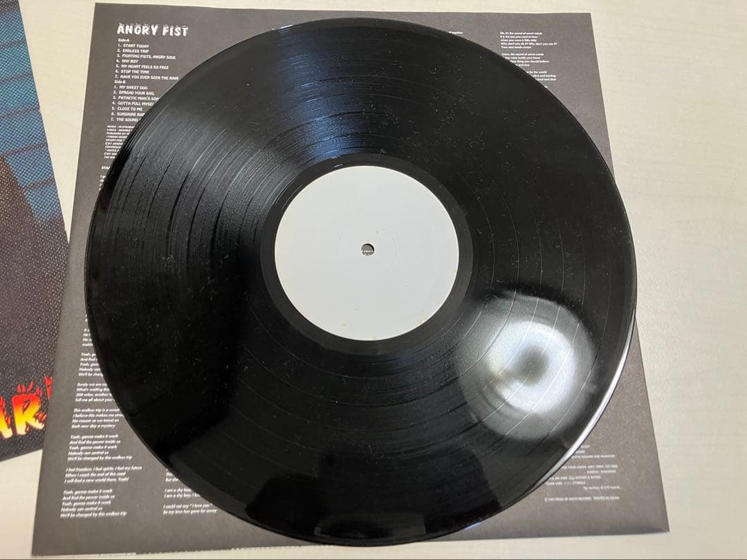 レア美品Hi-STANDARD LPレコード2枚&レコード2枚アナログ4枚セット