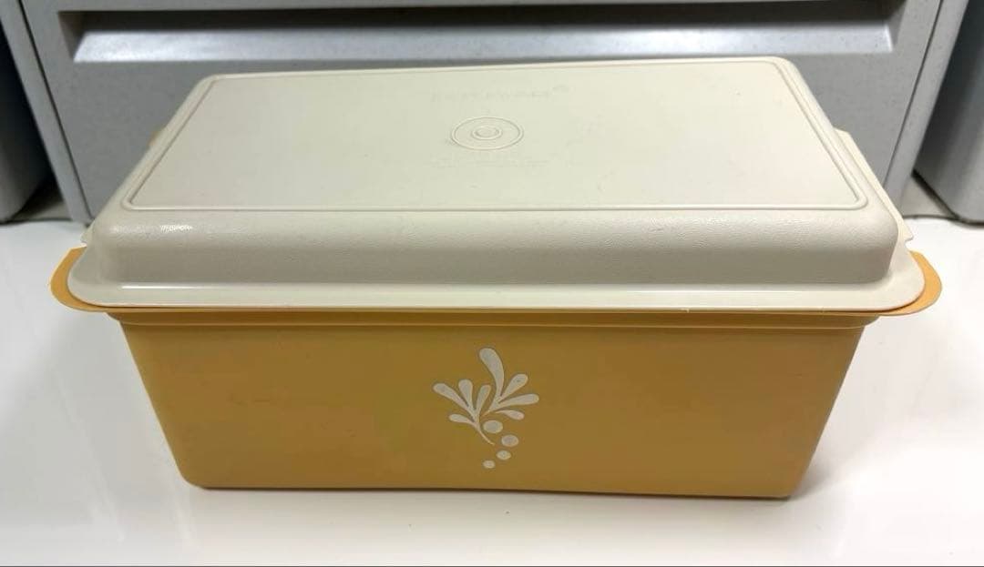 昭和レトロ入手困難希少激レア❤︎Tupperwareタッパーウェア❤︎パンケース大