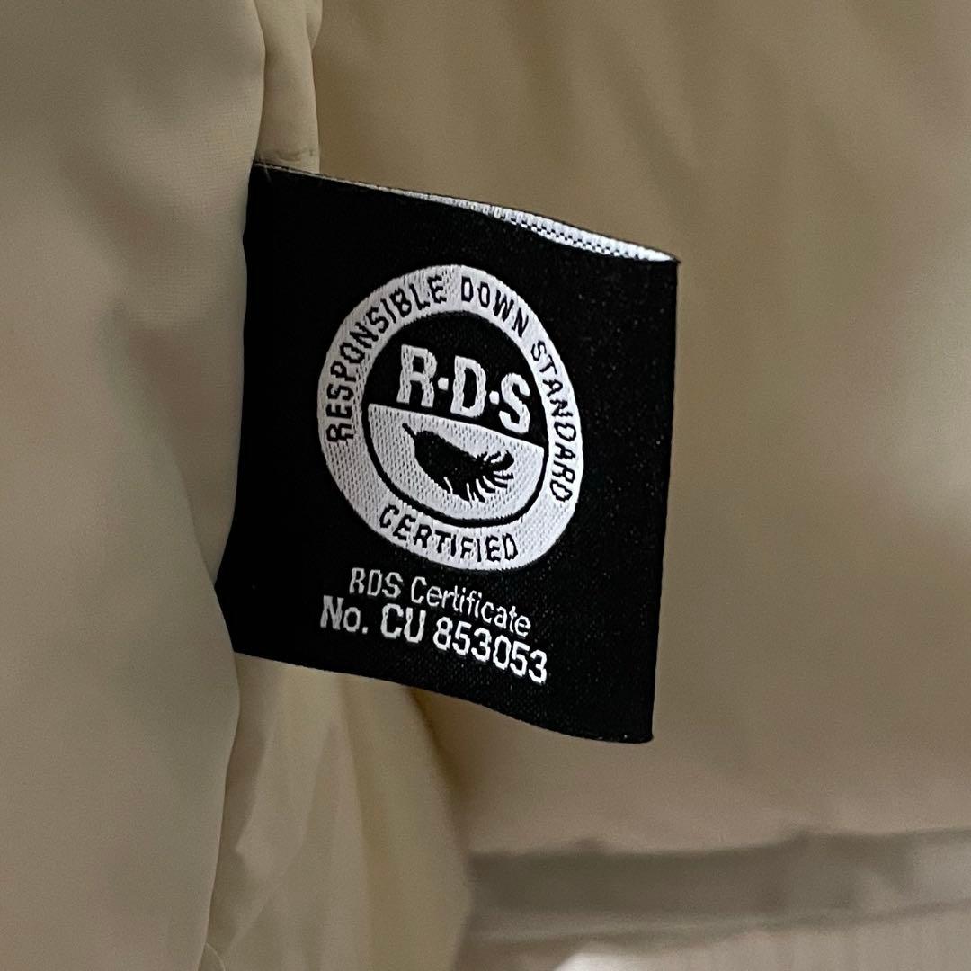 THE NORTH FACE ノースフェイス ダウンジャケット アクションテック