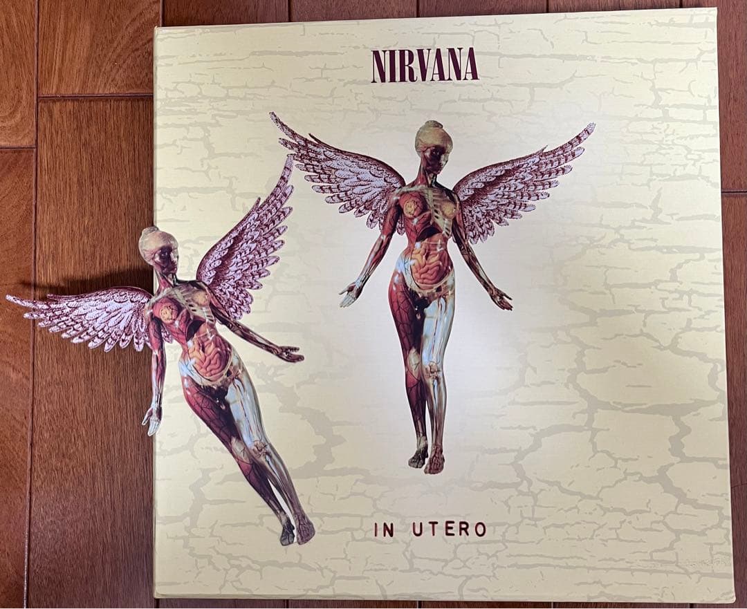 洋楽 [3CD+1DVD] In Utero 20th Anniversary