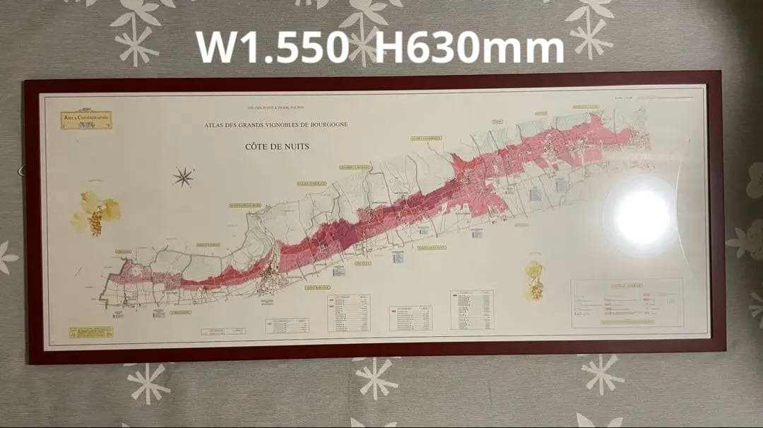 【大型額装美品】ブルゴーニュ（ワイン）南北の詳細な葡萄畑の地図