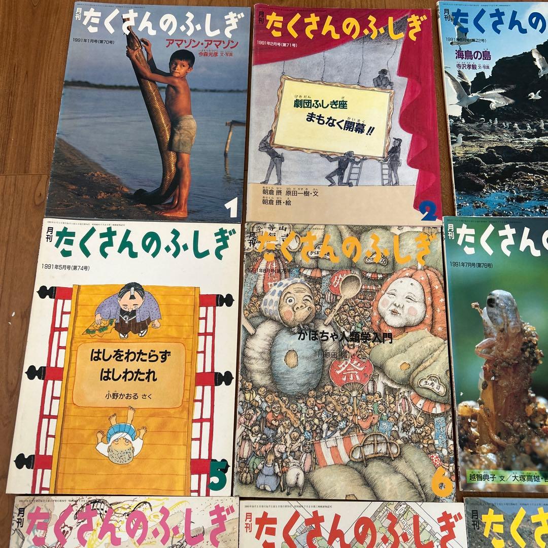 たくさんのふしぎ 1991年 12冊〔1月-12月〕