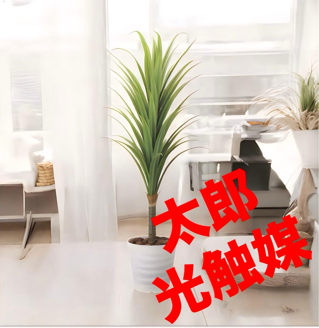 光触媒　人工観葉植物　ウォールグリーン　フェイクグリーン　ドラセナ1.8