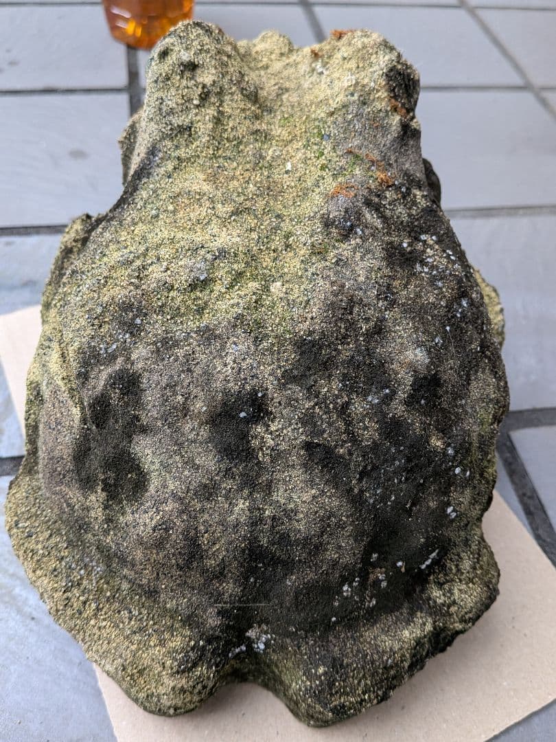 海外コレクター向き明治時代〜昭和戦前期頃蛙苔むした全長２３センチ重さ５キロ飾置物