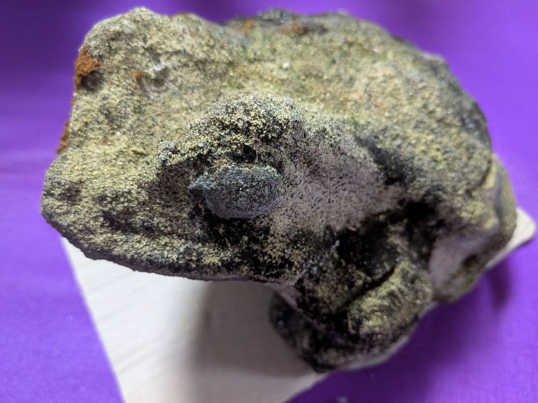 海外コレクター向き明治時代〜昭和戦前期頃蛙苔むした全長２３センチ重さ５キロ飾置物