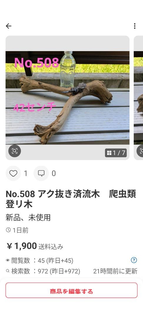 ヤマムラ8点おまとめ　 アク抜き済流木大型　爬虫類登リ木