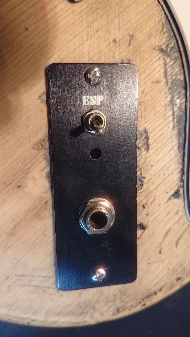 FERNANDES FST 石ロゴ ローズ