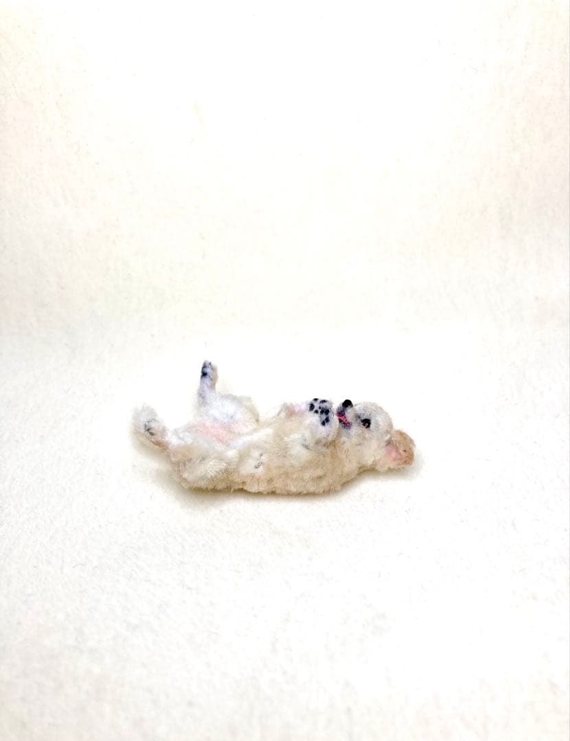 モールアート☆チワワ☆へそてん