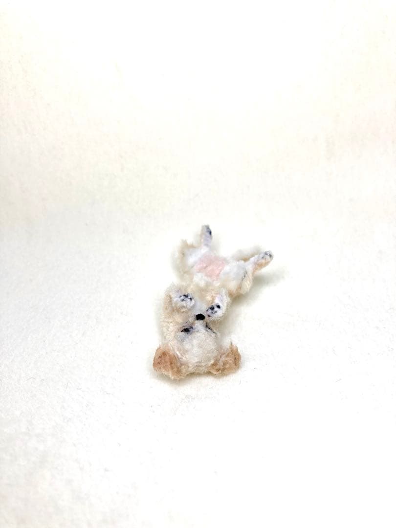 モールアート☆チワワ☆へそてん