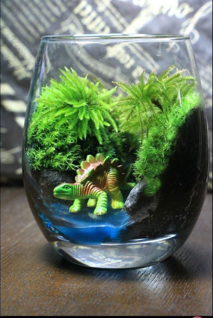 苔テラリウム　シングル、ダブル、ロボット兵＆恐竜フィギュア我が家の小さなオアシス