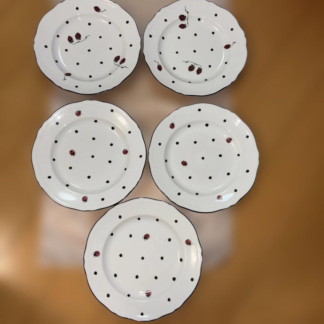 リチャードジノリ　イタリアンポア　野イチゴ　てんとう虫