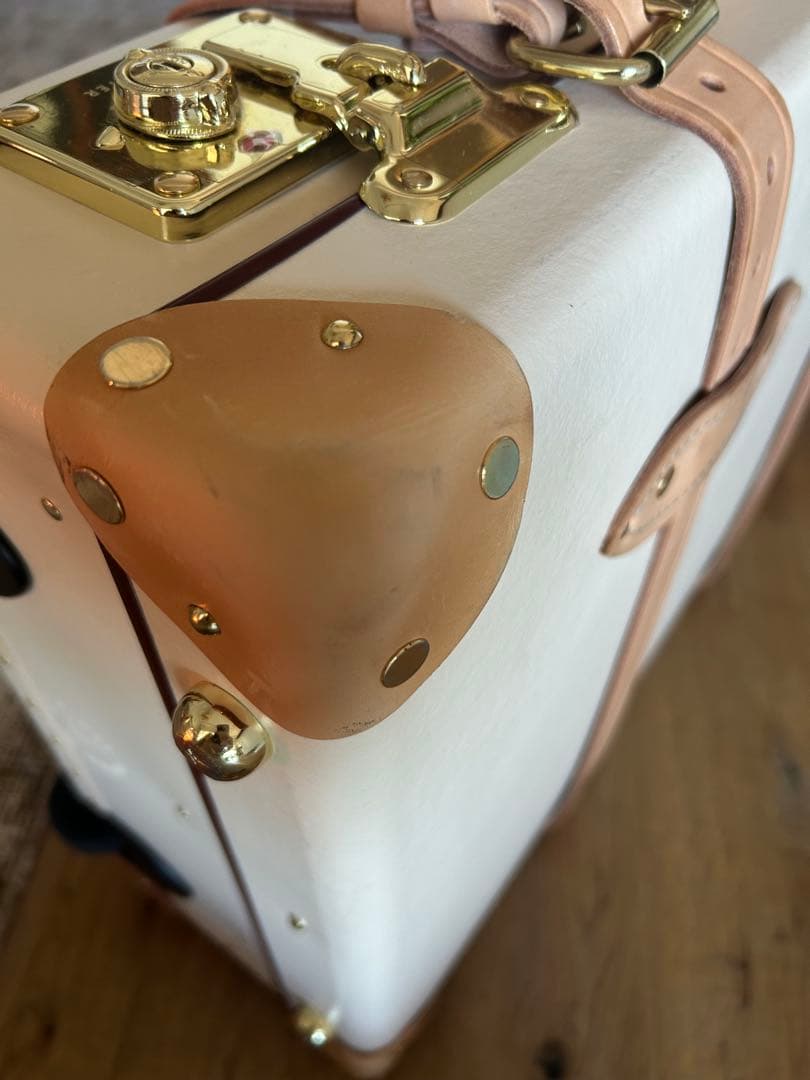 グローブトロッター　サファリ・キャリーオン