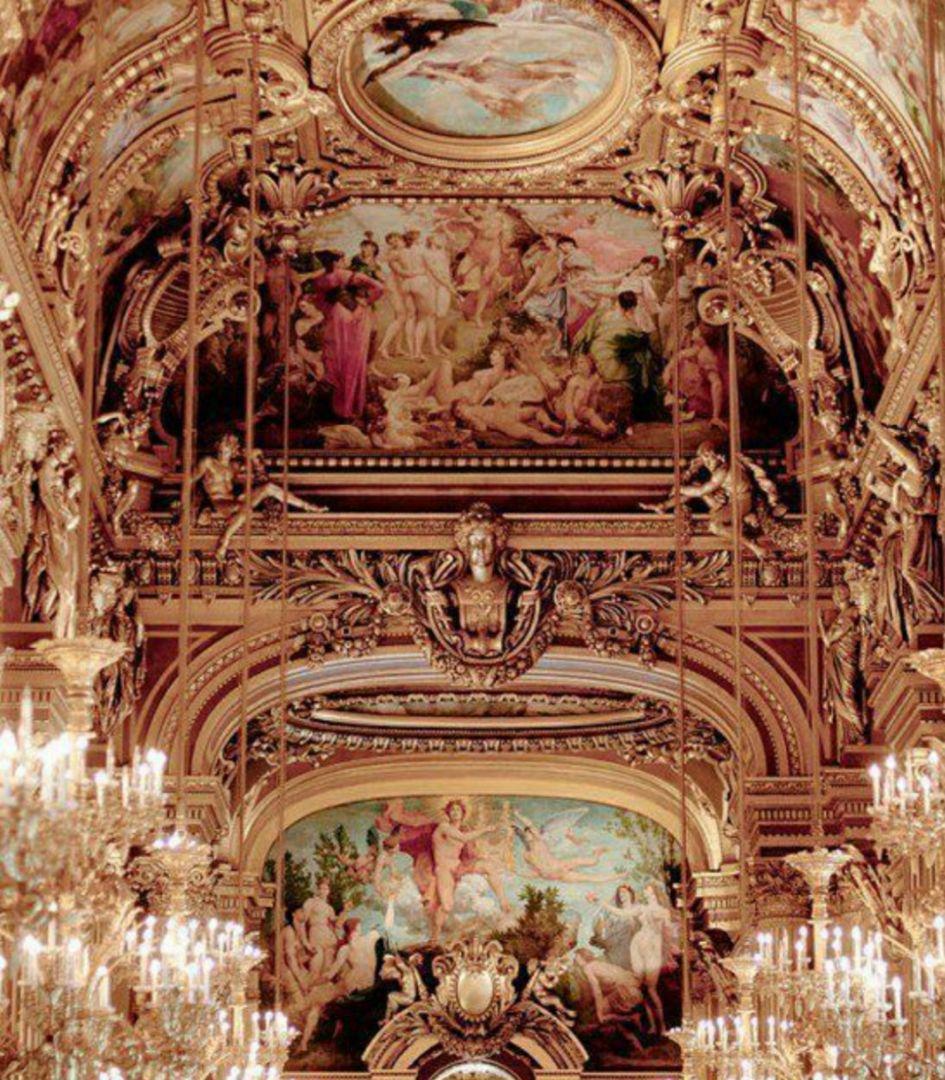 専用プリンセス様