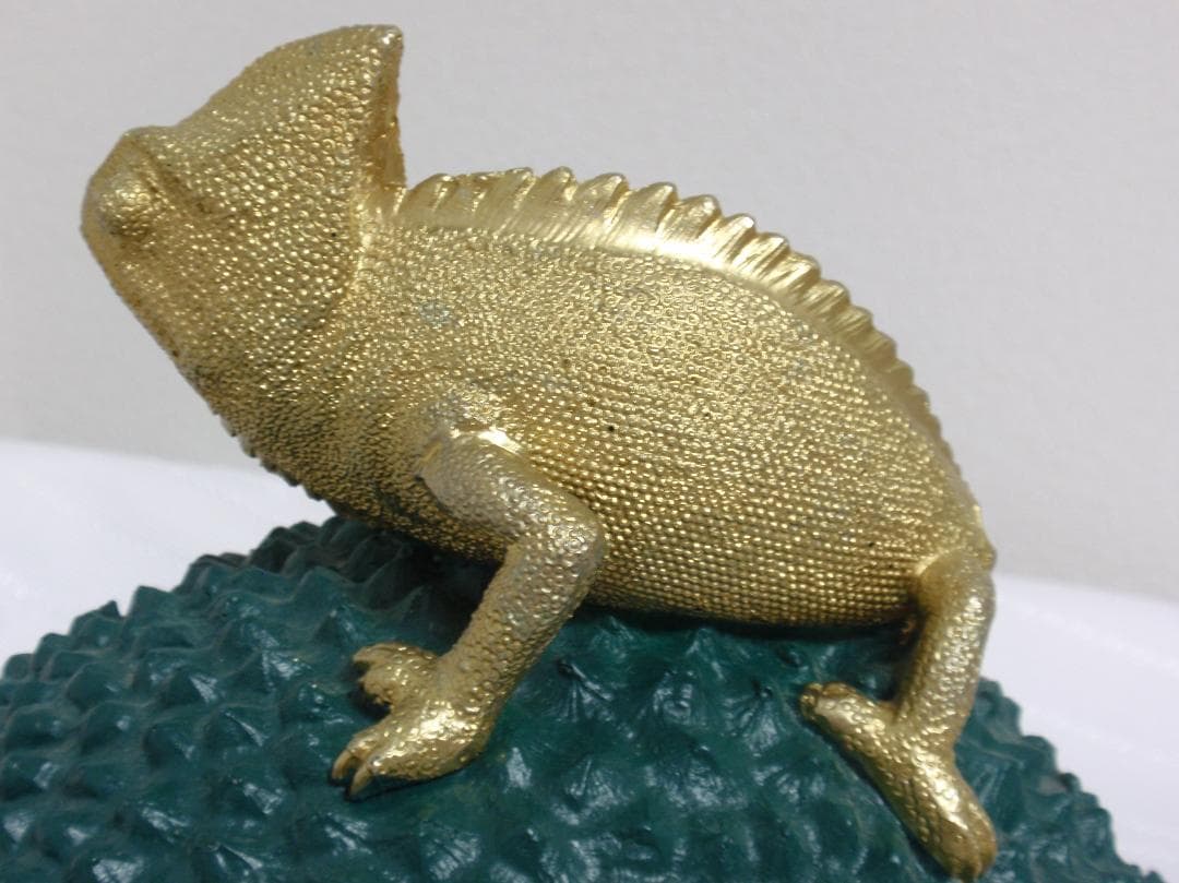 Colmore カメレオン デコボックス グリーン