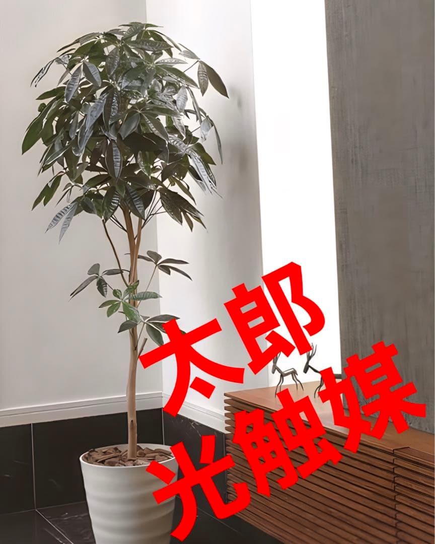 光触媒　人工観葉植物　ウォールグリーン　フェイクグリーン　デザインパキラ1.6m