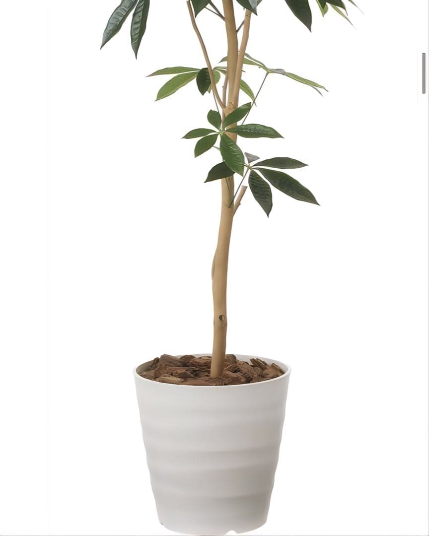 光触媒　人工観葉植物　ウォールグリーン　フェイクグリーン　デザインパキラ1.6m