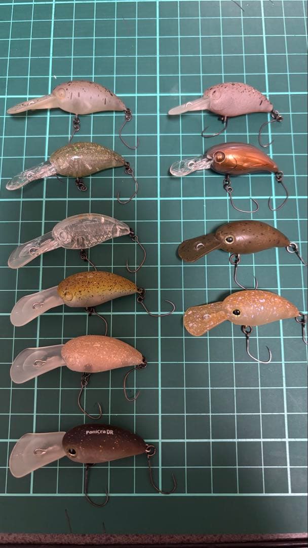 ティモン　パニクラ　DR MR ロデオコラボ