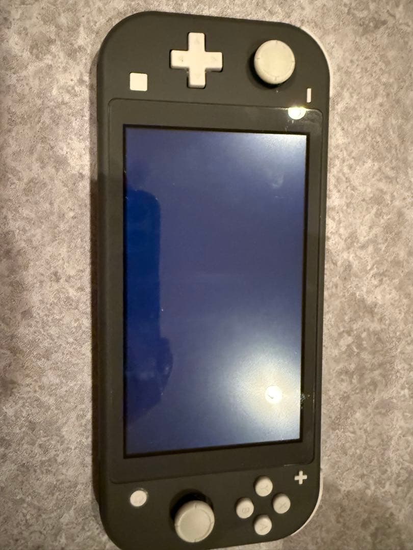 Nintendo Switch Lite グレー本体　ジャンク