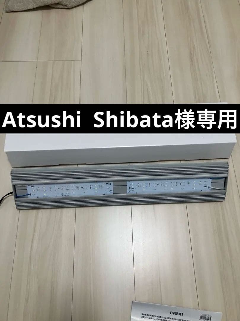 アクロ　トライアングル　マリン　プロ　照明　魚