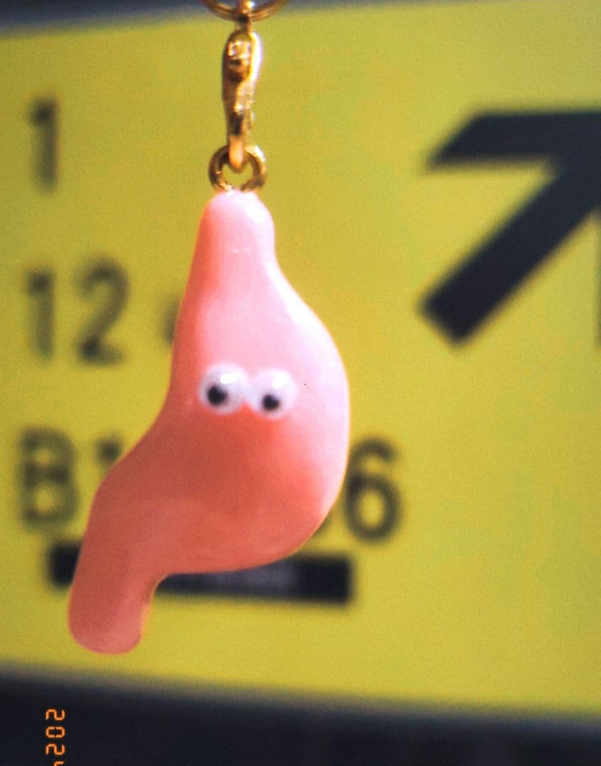 胃　臓器　手作り　キーホルダー　看護