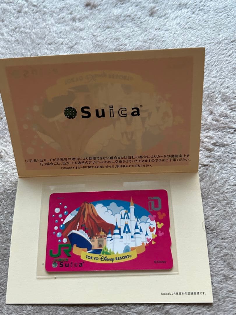 東京ディズニーリゾート　Suica