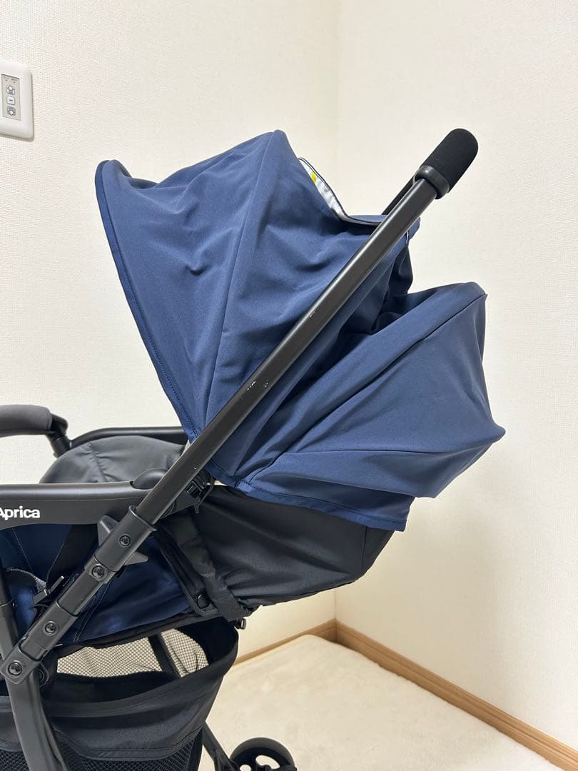 Thái Hoàng ページ、