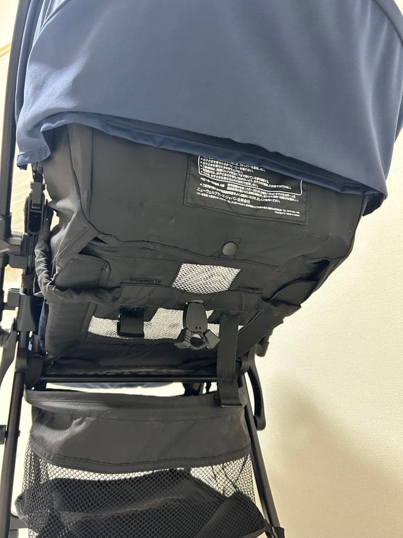 Thái Hoàng ページ、