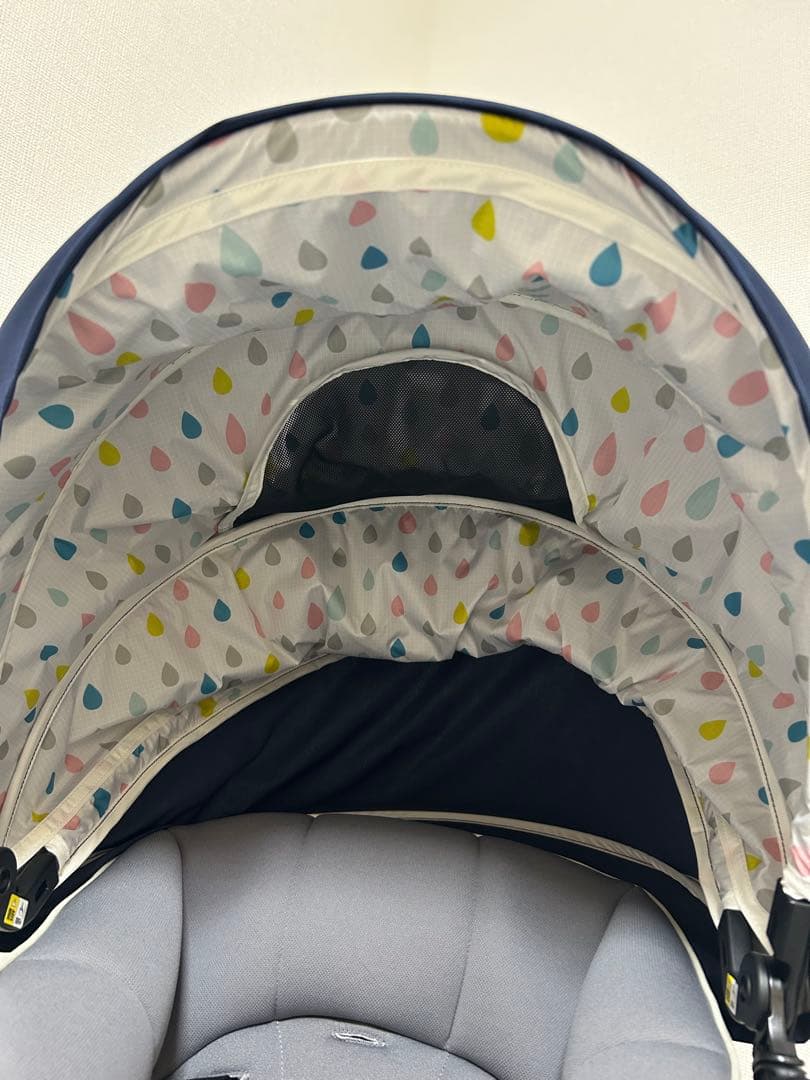 Thái Hoàng ページ、