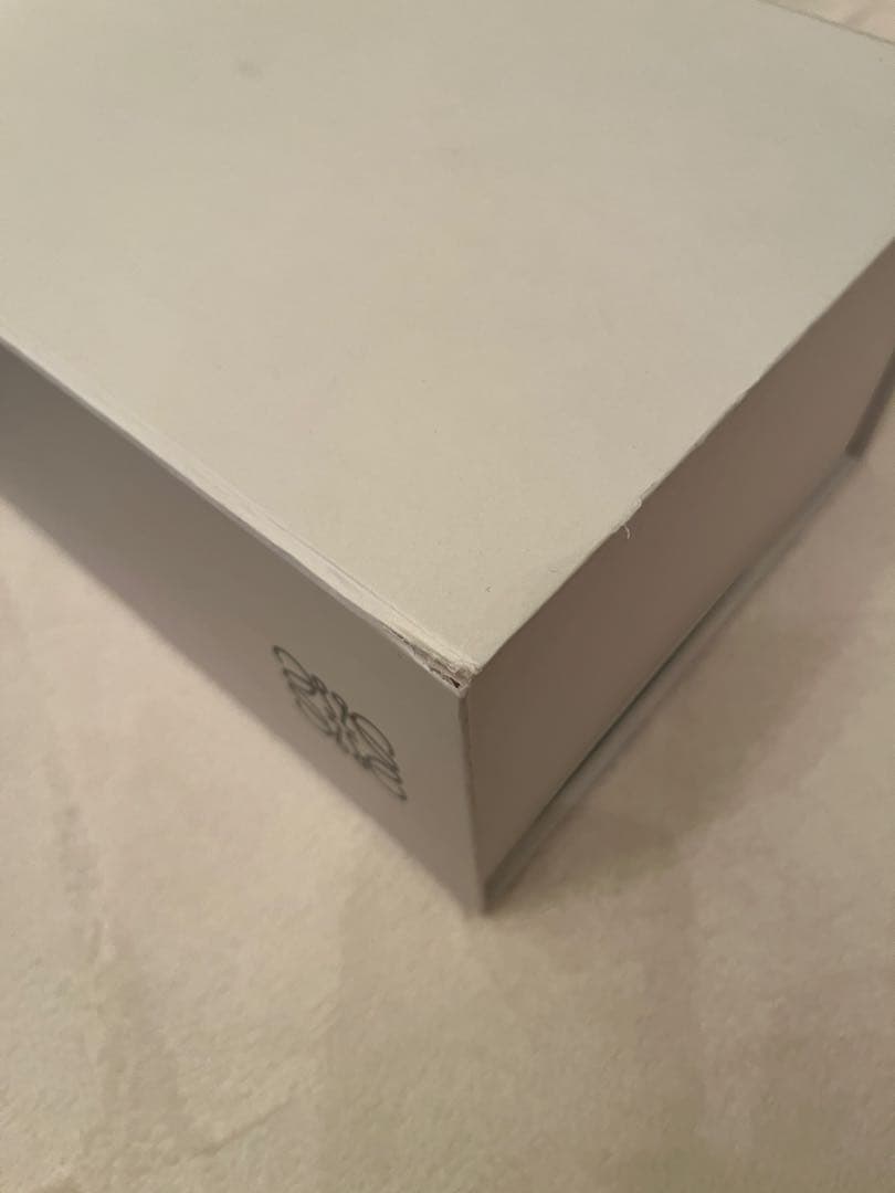 ロエベ　テラバルカ プリント レースアップ スニーカー