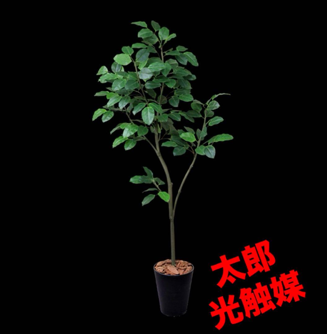 光触媒　人工観葉植物　ウォールグリーン　フェイクグリーン　ベンガレンシス1119