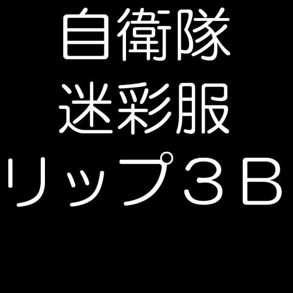 陸上自衛隊 リップストップ 迷彩服 ３Ｂ
