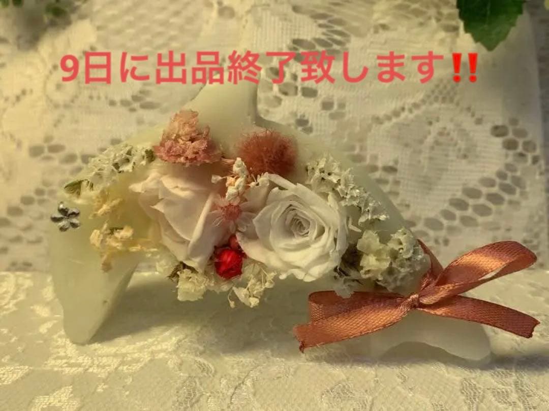 NO57.大人の為のイルカᒼᑋªⁿ❤︎*キャンドル❤