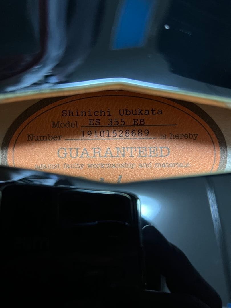 Epiphone 生形真一ES-335 初期モデル　直筆サインカード付き