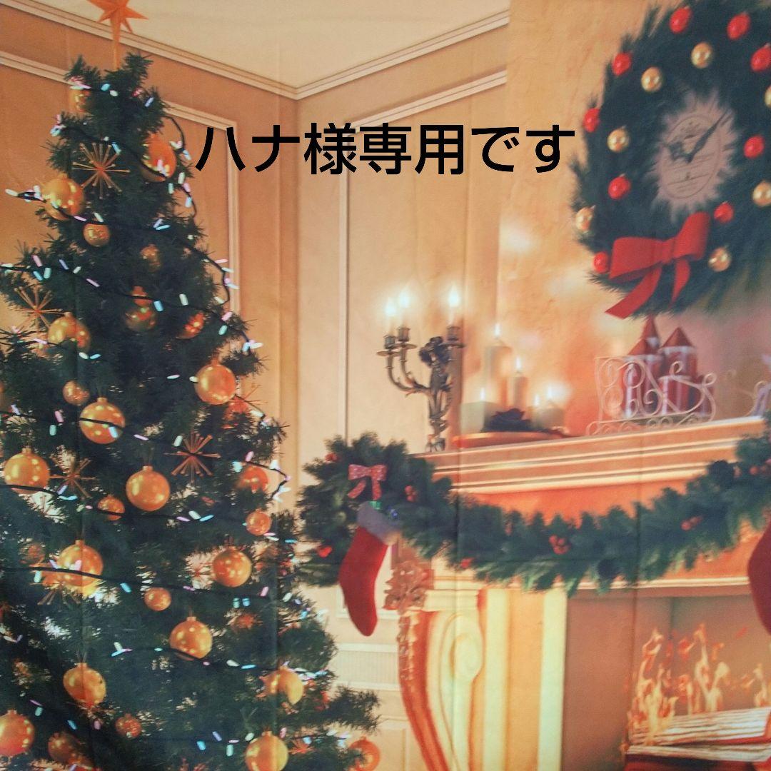 【２セット】JVC Everioアクセサリーキット、ハレクラニ キーホルダー