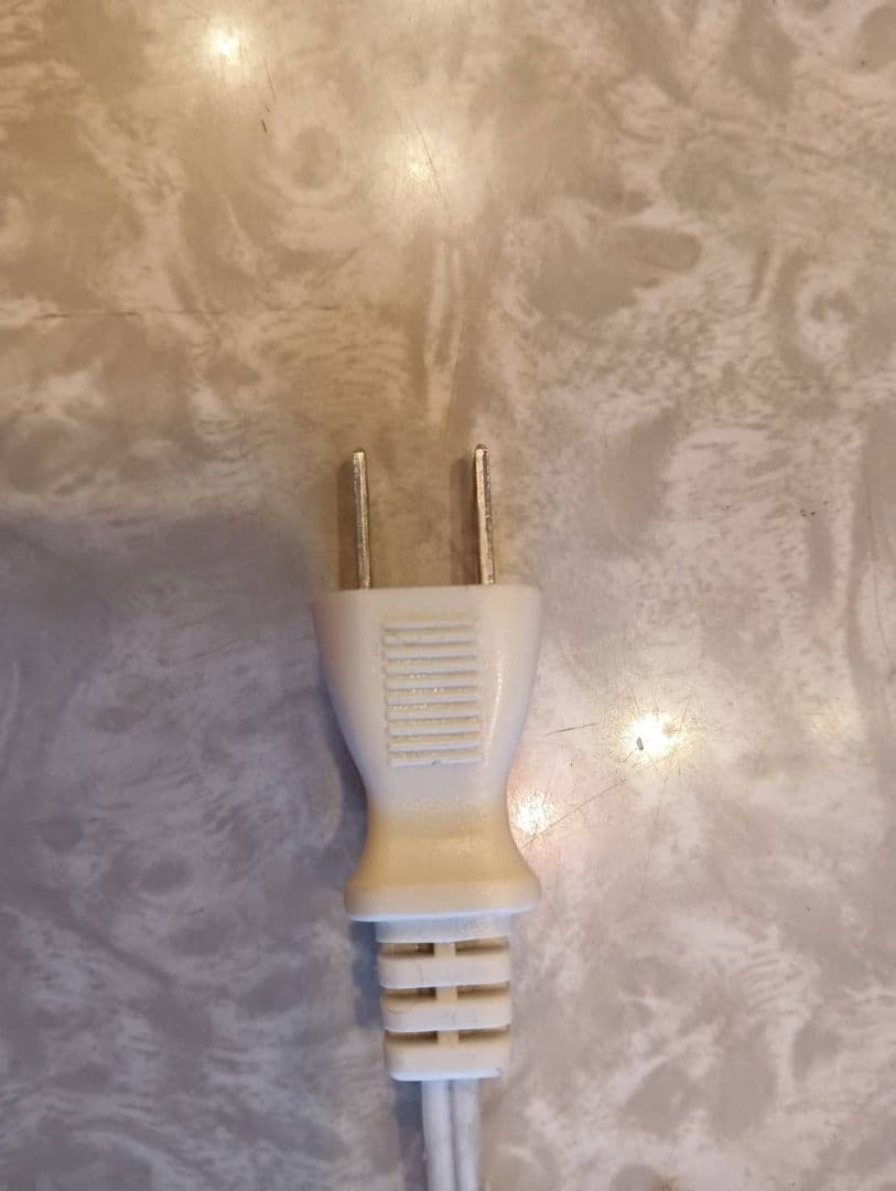 バドワイザー スパッズマッケンジー ランプ ブルテリア バドライト　犬